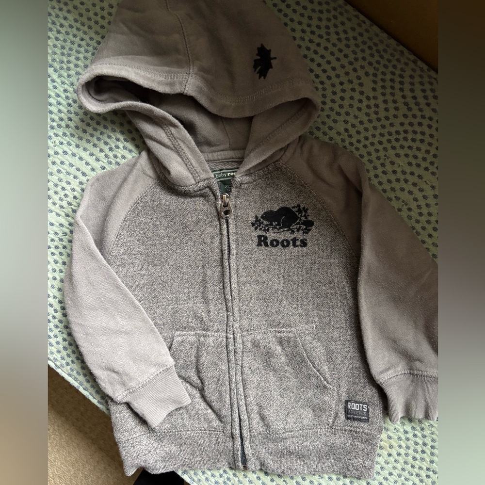 Roots Gray Kids Hoodie